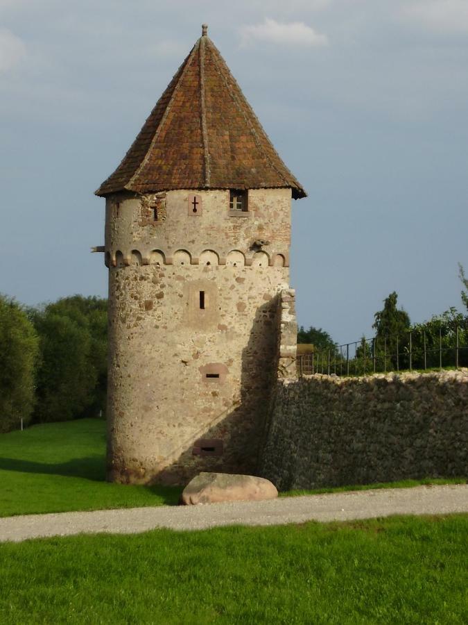 Gite La Maison Bleue Bergheim Εξωτερικό φωτογραφία